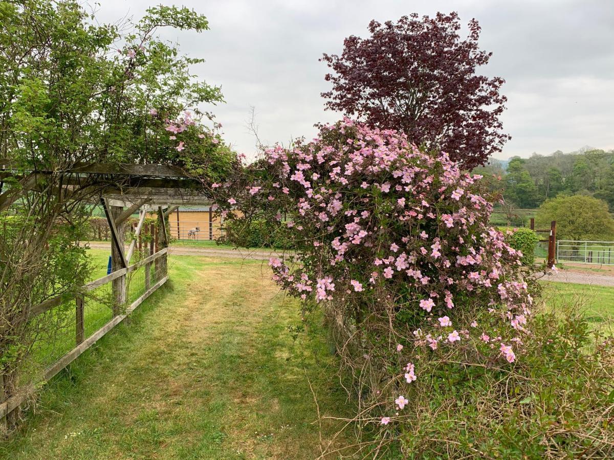 Wren Holiday home *