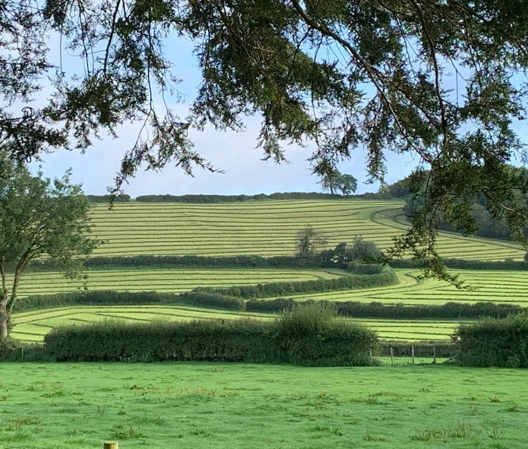 Holiday home Wren